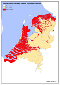Paalrot in in Nederland